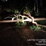 75318584-e24b-4805-ba79-af59ab01dfb3